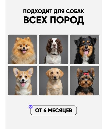 Harley Hypoallergenic dog shampoo with panthenol - Buy Online on GoSupps.com