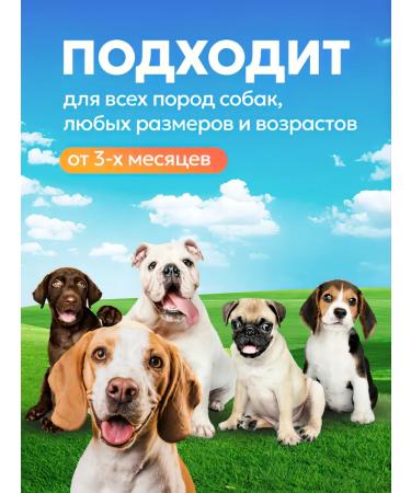 Light beef treats for dogs 1 5x1 5cm 40 grams - Buy Online on GoSupps.com