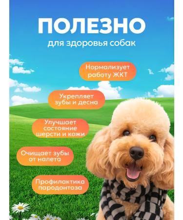 Light beef treats for dogs 1 5x1 5cm 40 grams - Buy Online on GoSupps.com