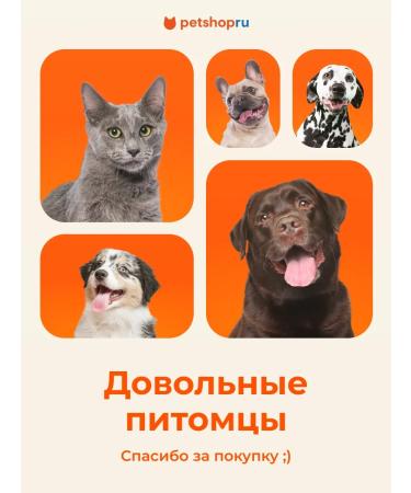 PetShop Tablet Administrator for Cats and Dogs - Buy Online on GoSupps.com