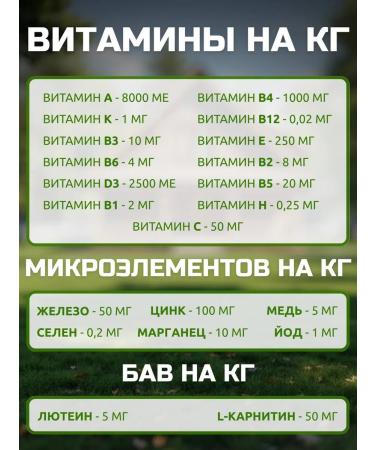 Bisco Dry food for dogs premium 12 kg - Buy Online on GoSupps.com