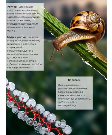 Gegemoon Eye patches anti -aging moisturizers with mucin snail - Buy Online on GoSupps.com