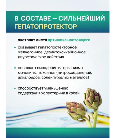 Crane pine and sun Artichop and a milk thistle dietary supplement for the liver and intestines - Buy Online on GoSupps.com