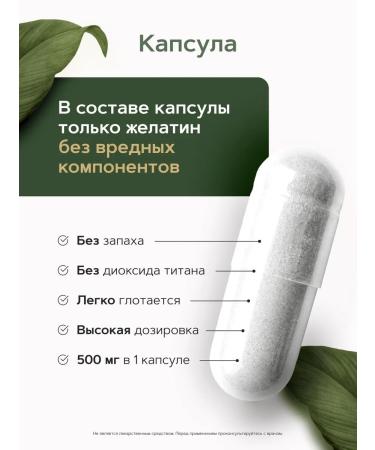 RESTARTBIO NAC 500 mg 90 capsules n-acetyl-l-cysteine - Buy Online on GoSupps.com