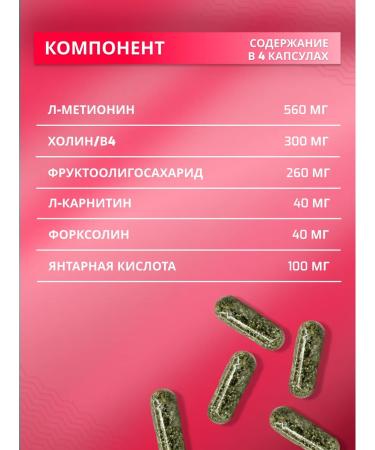 AltaVed Lipotropic factor with force - Buy Online on GoSupps.com