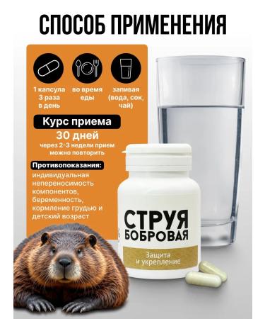 ALTAVED Beaver stream with cedar - Buy Online on GoSupps.com