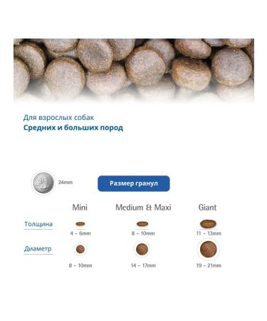 Farmina N & d Oshen dog herring and orange for dogs mini 800 grams - Buy Online on GoSupps.com