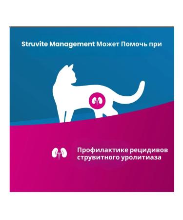 Farmina Vet Life for Cats Management Strait 2 kg - Buy Online on GoSupps.com