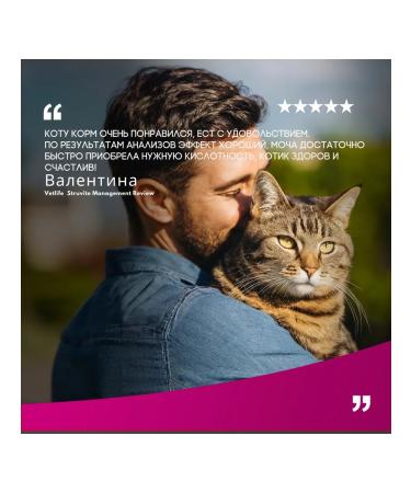 Farmina Vet Life for Cats Management Strait 2 kg - Buy Online on GoSupps.com