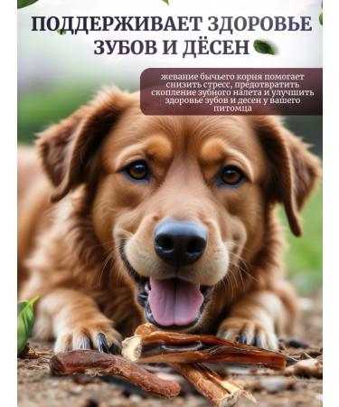 Delicious treats from Lelik Dog's goodies Bully root - Buy Online on GoSupps.com