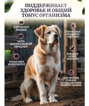 Delicious treats from Lelik Dog treats beef - Buy Online on GoSupps.com