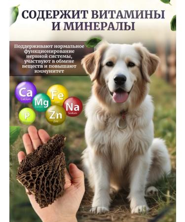 Delicious treats from Lelik Dog treats beef - Buy Online on GoSupps.com