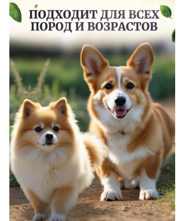 Delicious treats from Lelik Dog treats beef - Buy Online on GoSupps.com