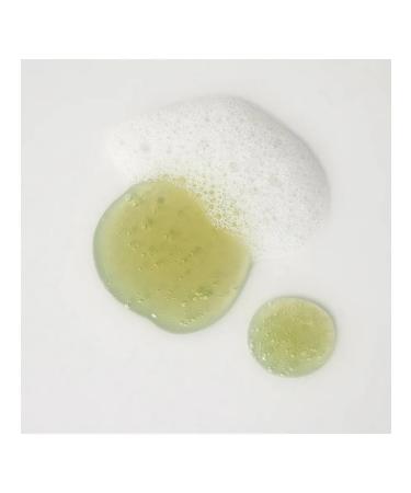 Kaine Rosemary Relief Gel Cleanser Rosemary Rosemary 150 ml - Buy Online on GoSupps.com