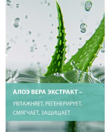 BELWEDER Moisturizing lip -lip balm with aloe extract - Buy Online on GoSupps.com