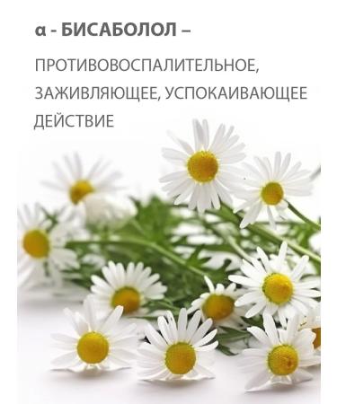 BELWEDER Moisturizing lip -lip balm with aloe extract - Buy Online on GoSupps.com