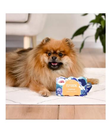 Florida Carnation Puding for dogs with chicken 132 g - Buy Online on GoSupps.com