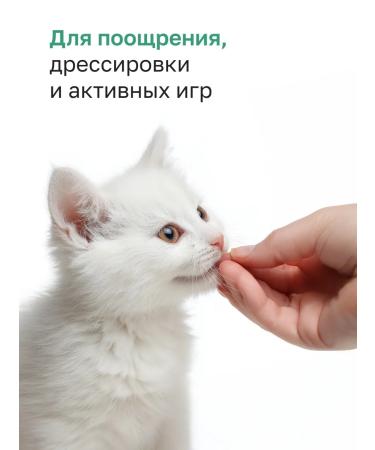 Organix Cotton treats pieces of lamb fillet 100% meat 50 g - Buy Online on GoSupps.com