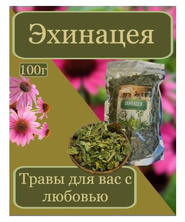 Herbs for you with love Echinacea herb