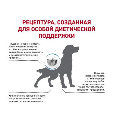 ROYAL CANIN Dry food Anallergenic 8kg - Buy Online on GoSupps.com