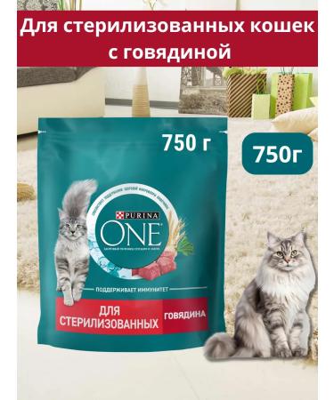 PURINA ONE Dry food for sterilized cats with beef 750g