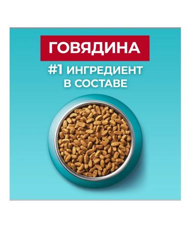 PURINA ONE Dry food for sterilized cats with beef 750g - Buy Online on GoSupps.com