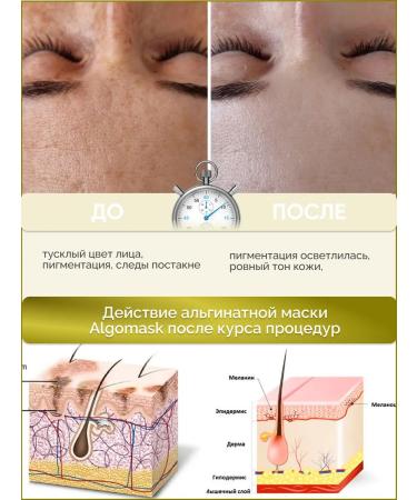 Algomask Alginate clarifying against aging - Buy Online on GoSupps.com