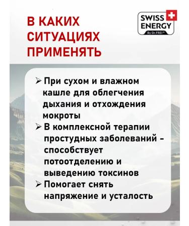 Swiss Energy Diet phytochas with mint and black currant - Buy Online on GoSupps.com