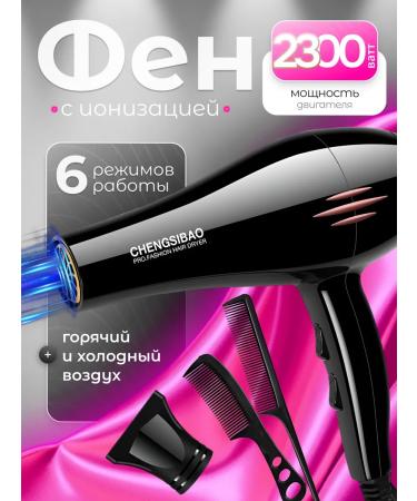 Third Transport Ring Hair hair dryer with ionization