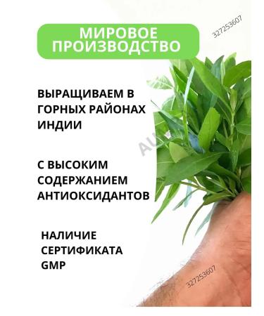 Shri Ganga Bhringraj 200tb dietary supplement from hair loss Bringaraj - Buy Online on GoSupps.com