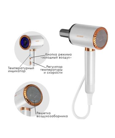 Endever Hair hairy Aurora-513 - Buy Online on GoSupps.com