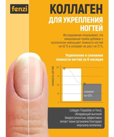 FENZI Collagen Sea peptide powder for joints and face - Buy Online on GoSupps.com