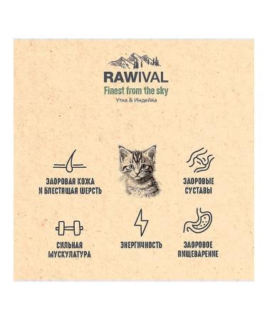 Rawival Dry food with duck and turkey for kittens 1.7 kg - Buy Online on GoSupps.com