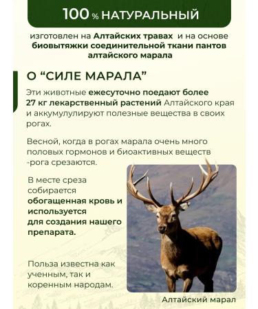 Biosan Khondro anesthetic cream for joints and muscles Chondro - Buy Online on GoSupps.com