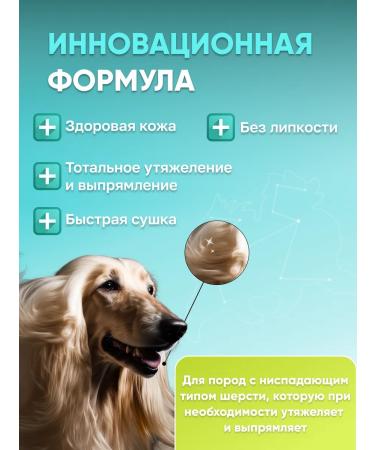 Groom Long shampoo for long hair of dogs 50 ml - Buy Online on GoSupps.com