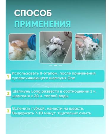 Groom Long shampoo for long hair of dogs 50 ml - Buy Online on GoSupps.com