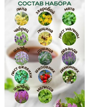 Leyli Tea World Herbal tea set 2pcs - Buy Online on GoSupps.com