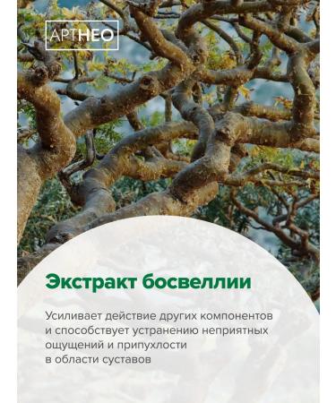 Artneo Collagen for joints in capsules - Buy Online on GoSupps.com