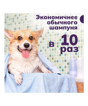 Show Tech Hypoallergenic shampoo 300 ml - Buy Online on GoSupps.com