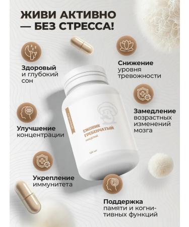 Mr Borovik Ezhovik Chanbone mycelium 120 capsules 650 mg - Buy Online on GoSupps.com