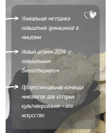 Mr Borovik Ezhovik Chanbone mycelium 120 capsules 650 mg - Buy Online on GoSupps.com