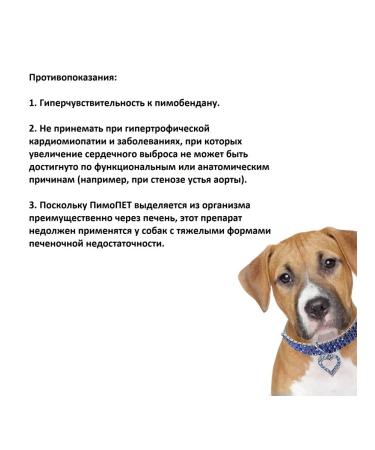 GIGI Pimo Pet 5mg for diseases of the heart in dogs tablets No. 100 - Buy Online on GoSupps.com