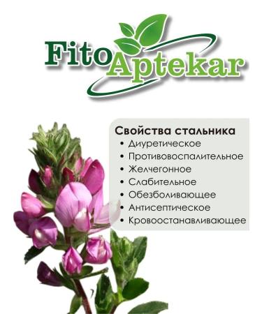 PHYTOAPTHECARIAN Stellar root 500 g - Buy Online on GoSupps.com