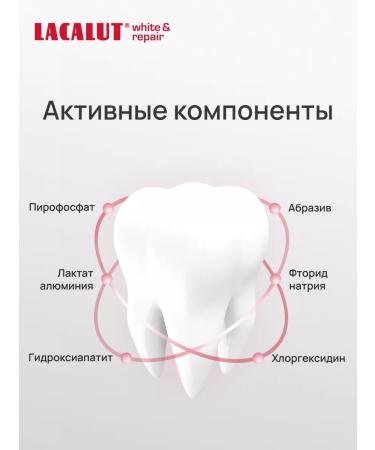 LACALUT Whitening toothpaste remineralizing 4 pcs - Buy Online on GoSupps.com