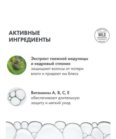 Natura Siberica Shampoo for hair volume Saluscapular moisturizer 2x500 ml - Buy Online on GoSupps.com