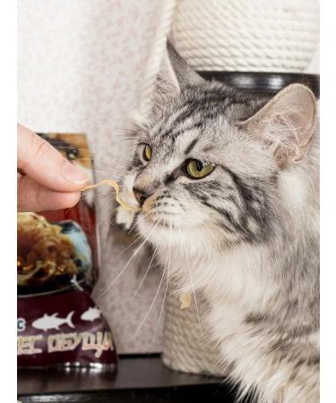 Japan Premium Pet Cotton for cats with pink sibas 30 g - Buy Online on GoSupps.com