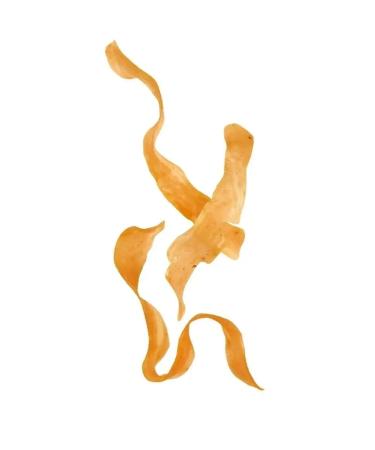 Japan Premium Pet Cotton for cats with pink sibas 30 g - Buy Online on GoSupps.com