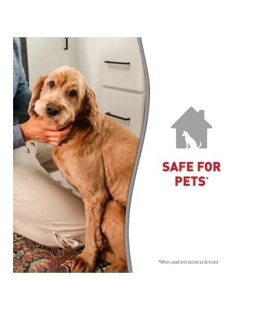 Nature's Miracle Contractor Contractor for dogs Natura's Miracle Lavender - Buy Online on GoSupps.com