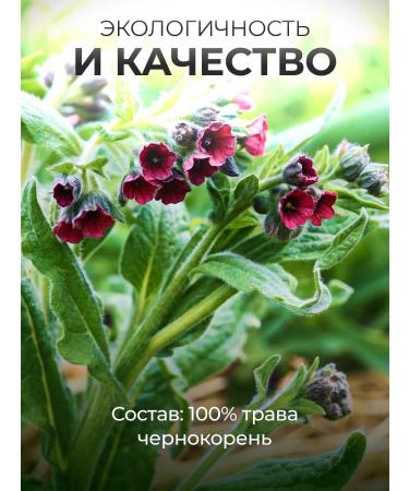 Honey and Jam Black root of grass 2 pcs 30 grams - Buy Online on GoSupps.com