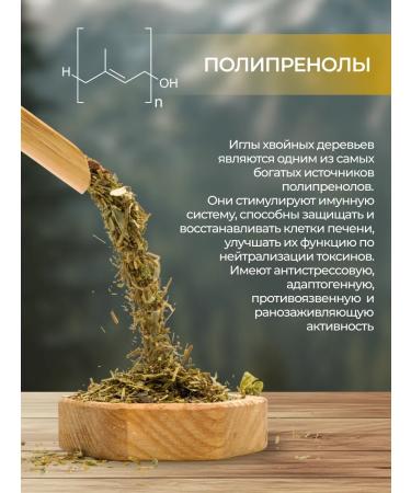 THE RIGHT HERBS Green grass coniferous phytocha - Buy Online on GoSupps.com